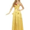 Gouden Prinses Jurk