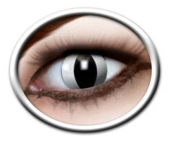 Kleurlenzen Kat Zwart (3 Maanden)