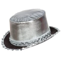 Hoge Hoed Paillet Zilver