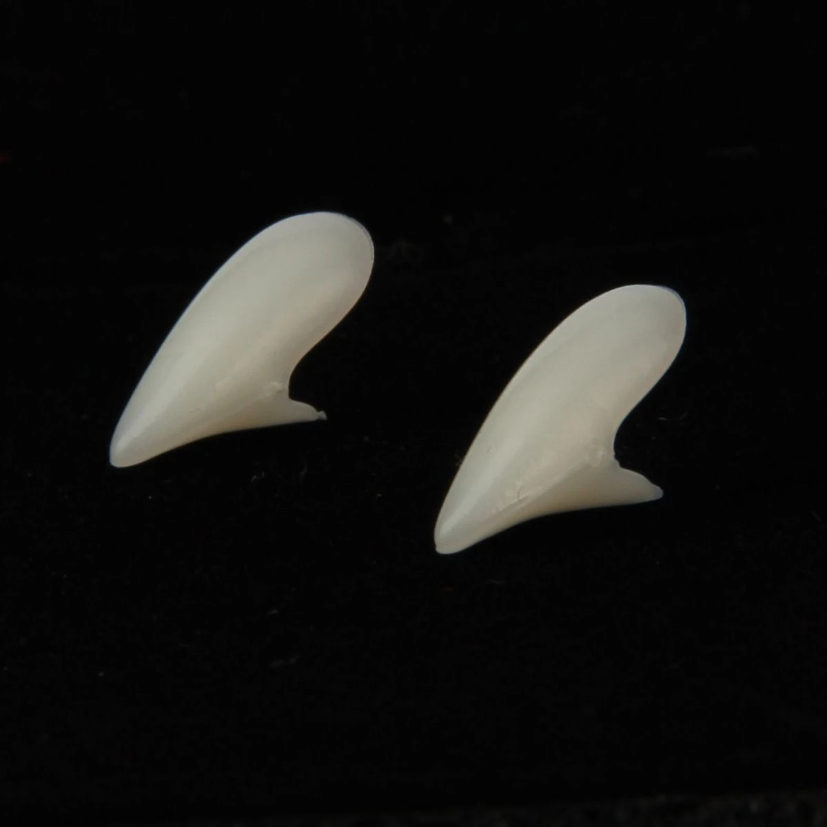 Luxe Vampier Hoektanden 17 Mm 2 Luxe Vampier Hoektanden 17 Mm - Afbeelding 2