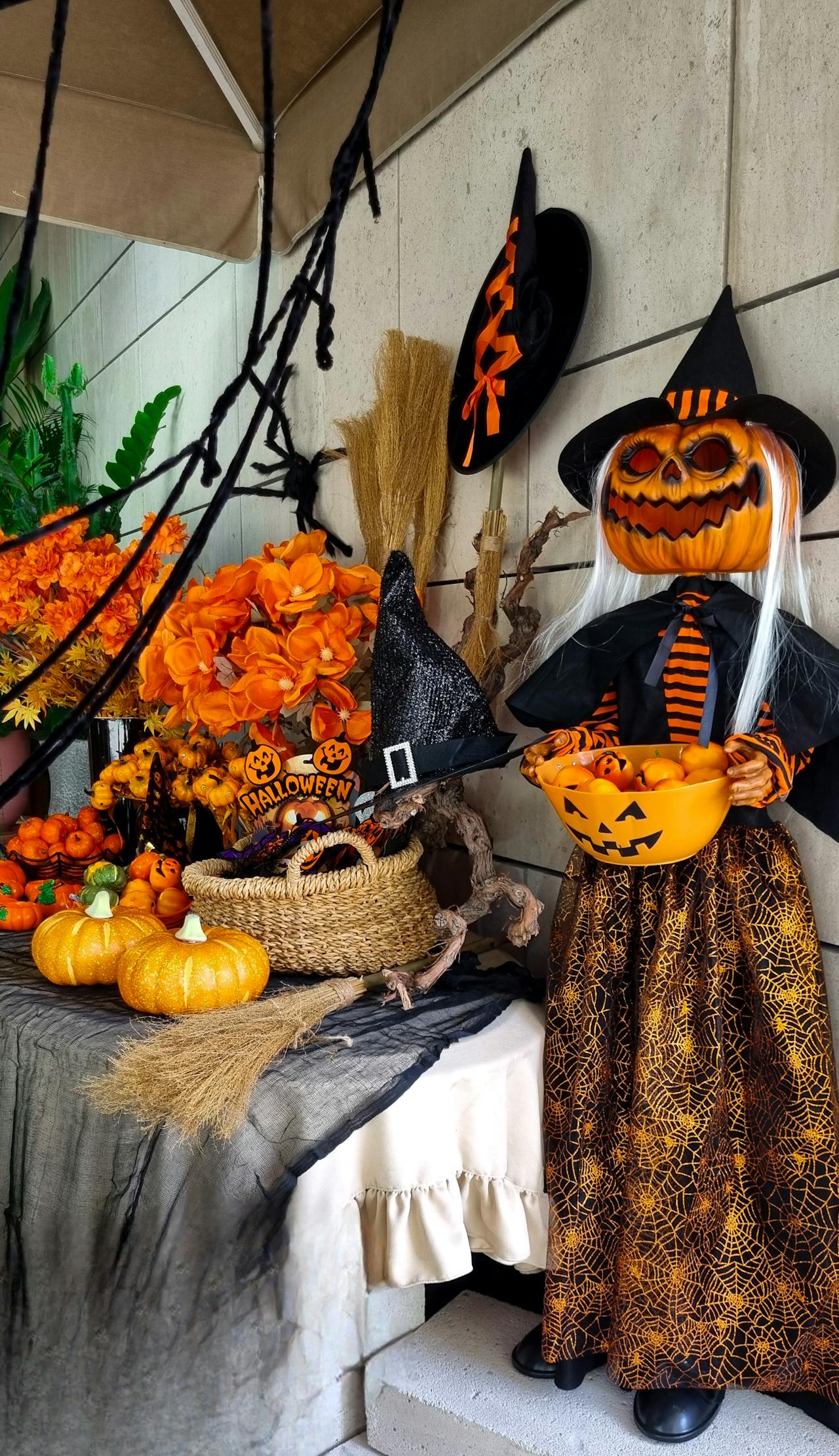 Halloween Winkel -Halloween Winkel pexels nurs gallery 42373260 28785212